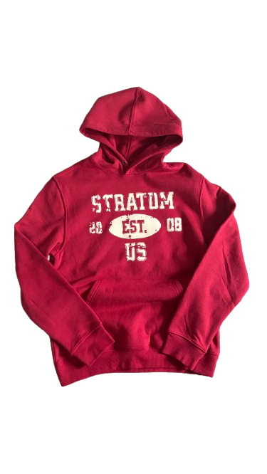 Stratum Est. Hoodie